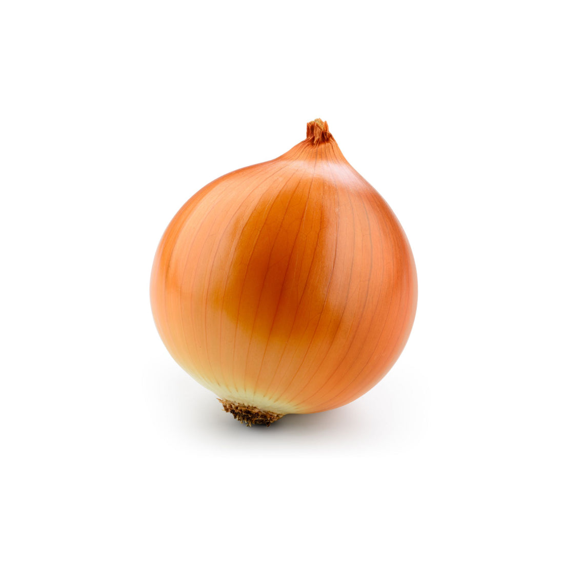 Yellow Onion